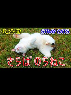 [x][野良猫] さらばのらねこ - 最終回 - - YouTube