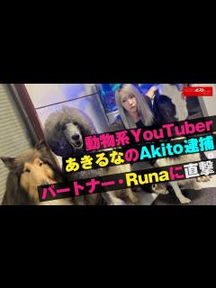 [x]動物系 YouTuber あきるな の Akito 逮捕 パートナー ・ Runa に 直撃 NEWSポストセブン - YouTube