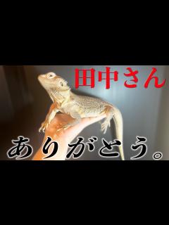 [x]本当にありがとうございました。田中の病気についての動画はこれで最後になります。 - YouTube
