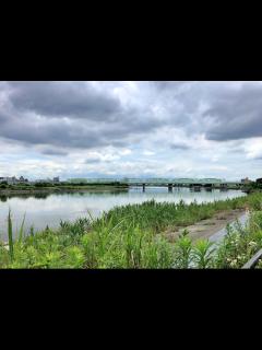 [x]荒川を河口から歩く その4 新荒川大橋から笹目橋 - 散歩の途中