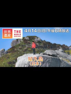 [x]【TBS世界遺産】鈴木亮平が登る！巨木と巨岩の島・屋久島 （後編）【4月14日午後6時放送】 - MAGMOE