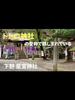 [x]下野星宮神社（しもつけほしのみやじんじゃ）【パワースポット