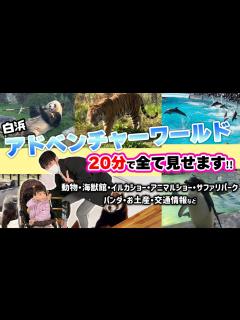 [x]【白浜アドベンチャーワールド】20分で丸わかり！子連れファミリーからカップルまで楽しめるアドベン1日大満喫ツアー！ - YouTube