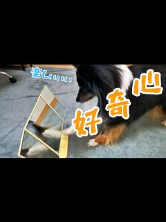 [x]チャロの興味とは？ - YouTube