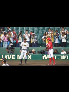 [x]阪神タイガース2019/鳥谷選手とやっぱり挨拶したい/長野選手や石原選手も…広島戦編（2019.09.21) - YouTube
