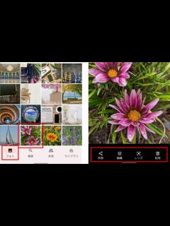 [x]スマホの写真がより楽しくなる「Google フォト」で編集、プリント、アルバム整理も簡単に！｜スマホアプリ特集 Vol. 2