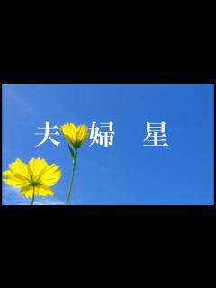 [x]夫婦星 歌/作詞/作曲/編曲/演奏/撮影/映像制作 西尾澄気 - YouTube