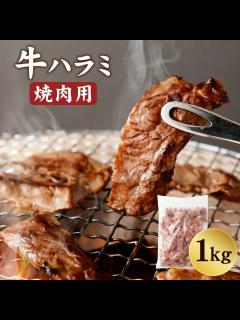[x]演奏写真ハラミちゃん🍖🎹日比谷音楽祭での共演♪ / お米🍚編集 - YouTube