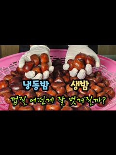 [x]냉동밤/생밤 똑같이... 쪄봤습니다! 궁금증 해결 됐습니다. - YouTube