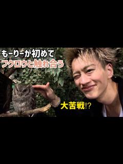 [x]もーりーが初めてフクロウと触れ合うの巻🦉【癒し空間