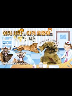 [x]아기 사자🦁, 아기 호랑이🐯의 특별한 외출👩‍⚕️ [KBS대/세/남 With Animals] / KBS 방송 - YouTube