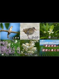 [x]「夏は来ぬ」作詞：佐々木信綱 作曲：小山作之助 - YouTube