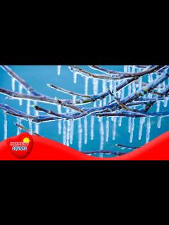 [x]Freezing - More Grades 3-5 Science on the Learning Videos Channel - YouTube